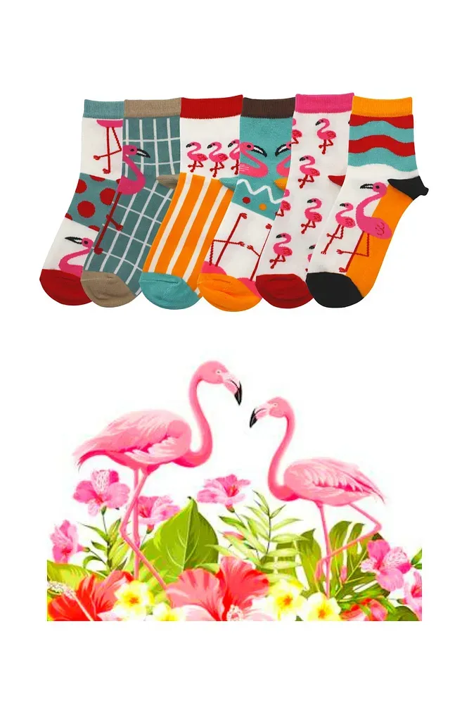 Kadın Çok Renkli Yarım Konç Flamingo Desenli Pamuklu Çorap 6'lı Paket Çok Renkli - 36 - 40